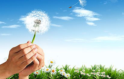 模仿其他公司網站與模板網站和定制網站有何不同